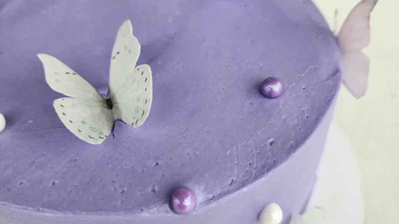 purple butterflu